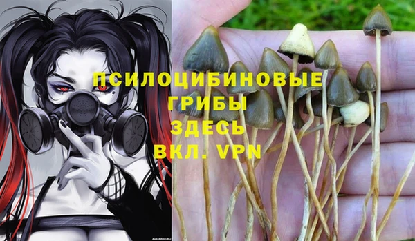 хмурый Абинск