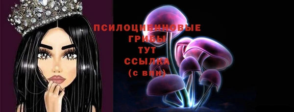 хмурый Абинск