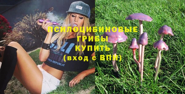 хмурый Абинск