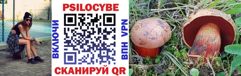 Псилоцибиновые грибы Psilocybe  Приморско-Ахтарск 